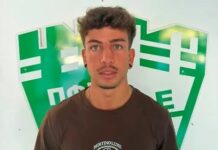 bertino