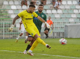 damyan hristov