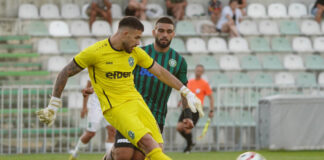 damyan hristov