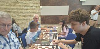 nikola irka