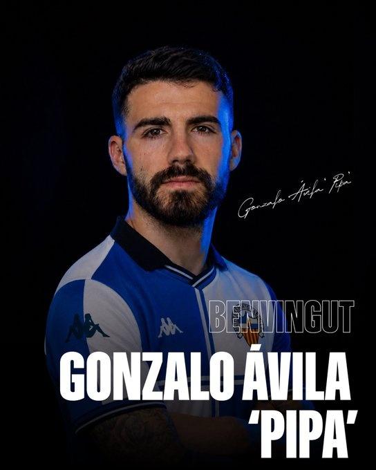 pipa pipa