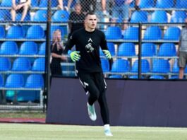 svetoslav vucov