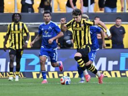 botev plovdiv levski