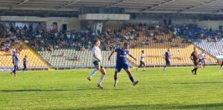 chernomoretz beroe (16)