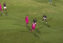 lokomotiv plovdiv dunav
