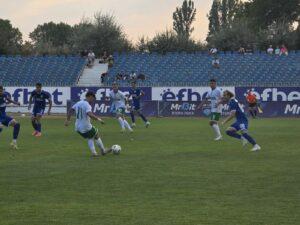 nesebar pirin5