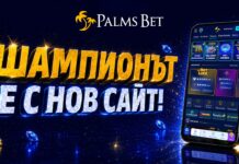 Новият сайт на Palms Bet е тук: Какво да очаквате? palms bet new