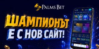 palms bet new