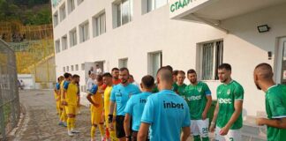pirin hebar 2