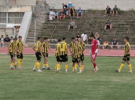 botev plovdiv 2 dubal