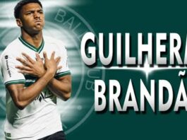 gilerme brandao