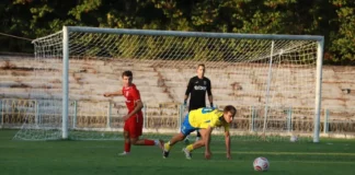 sarp polat