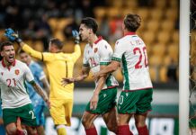 Унгарец ръководи Исландия – България bulgaria national team1