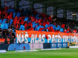 viktoriq pilzen fenove
